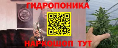 мдпв Партизанск
