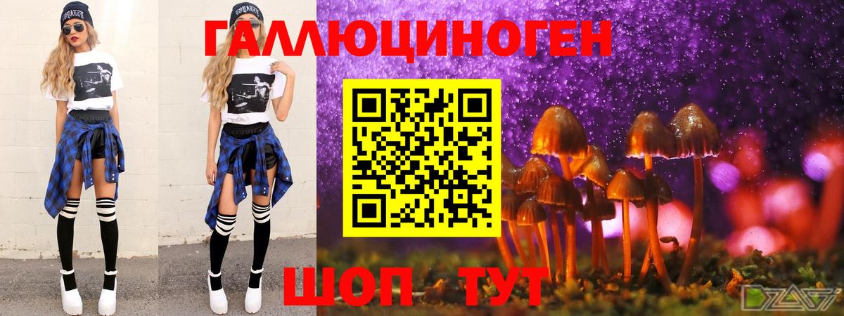 Псилоцибиновые грибы GOLDEN TEACHER Пушкино
